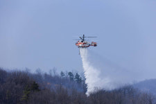 화성 농기계 창고서 불…무봉산으로 번져 산림 2천㎡가량 소실