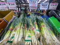 영숙이네농수산물도소매 | 할인 지원에 대파 소매가격 하락세 [포토뉴스]