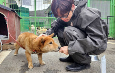 ‘국제 강아지의 날’ 맞아 찾은 용인시 동물보호센터…“사람과 동물, 함께 가요” [현장, 그곳&]