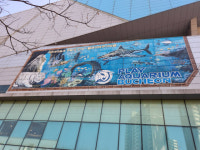 웅진플레이도시 동물원에 ‘동물을 위한 세상’은 없다