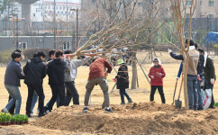 화성시 식목일 기념 나무심기 행사 [포토뉴스]