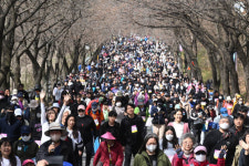 2024 평택시민건강걷기대회 [포토뉴스]