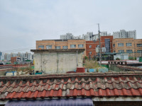 빌라 옥상 ‘불법 텃밭’ 점령... 이웃 “악취·벌레 못살겠다” [현장, 그곳&]