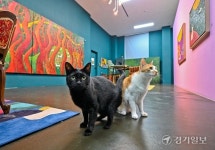 [2024 경기도 박물관·미술관 다시보기] 18. 파주 콩세유미술관