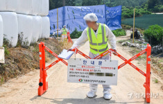 올해 첫 럼피스킨병 발생한 안성 한우농장 [포토뉴스]