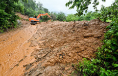 일 시키고 안 준 돈 15억…아내·며느리에겐 고액 임금