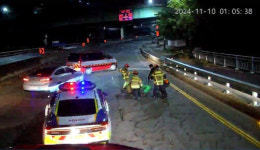 의왕에서도 사슴 출몰…청계동에서 마취총 포획