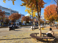 수능 다음날... 평촌·분당 학원가 썰렁 [포토뉴스]