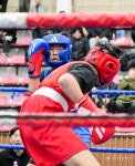 전국 복싱인 한자리에... 제15회 용인특례시 복싱협회장배 전국생활체육복싱대회 [포토뉴스]