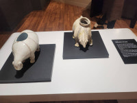 손끝으로 만나는 ‘조선 도자기’의 세계…경기도자박물관 ‘도자기와 닿다, 도자기 와닿다’