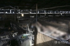 돼지 1천여 마리가 화재로 폐사한 용인 돈사 현장 [포토뉴스]