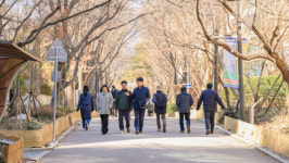 과천시 교동길 Story Road 변신…1.4㎞ 구간에 폭 2m 보도