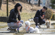몸집만 키운 ‘펫산업’... 툭하면 법 개정에 ‘혼란 가중’ [펫코노미 성장통 下]