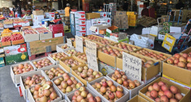 ‘사라진 참외’, ‘金값 사과’ 치솟는 과일·채솟값…상인 ‘시름’ [현장, 그곳&]