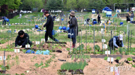 주말농장 북적 [포토뉴스]