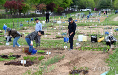 주말농장 북적 [포토뉴스]