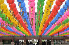 부처님 오신날을 앞두고 형형색색 오색연등 설치한 용주사 [포토뉴스]