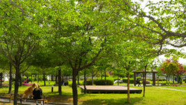 [새빛수원] 수원시 평생학습관, 지관서가와 ‘시민 행복 허브’로 도약