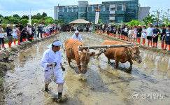 국립농업박물관, 전통 농경문화 체험 [포토뉴스]