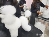 푸드전문·마필관리... 미래 바이오산업 주도하는 화성 발안바이오과학고 [꿈꾸는 경기교육]