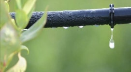 독보적 기술력 SGT㈜ 스마트팜을 만나다