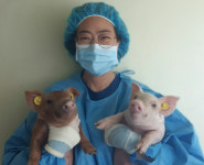 다비육종-서울대 장구 교수팀, PRRS ‘완전 저항성 돼지’ 생산 성공