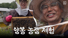 [영상] 양봉장에 말벌이 500마리나?...벌들과 하루 직접 겪어보니 [허약체 EP.3]