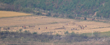 APEC 시작, 적막한 북한 모습 [포토뉴스]