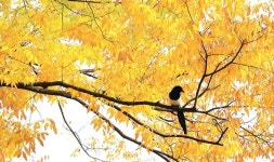 [공감, 뷰] 세상의 숨소리 外