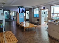 목욕탕 돌며 상습절도 70대女, 징역 2년