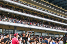 도시와 말, 사람의 100년 이야기… 과천에서 다시 뛰다