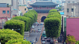 도입 20년 ‘네모가로수’ 원조 수원 정조로…도심 경관·보행환경 UP