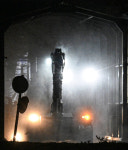 안성·포천 연이어 확진…ASF 번지나, 방역 ‘초비상’ [포토뉴스]