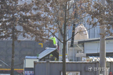 포천, 5년만에 고병원성 조류인플루엔자 확진 [포토뉴스]