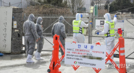 포천시 일동면 양계농가에서 조류인플루엔자(AI) 확진 [포토뉴스]