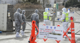 포천 신북면 농장에서 또 AI…11만 마리 살처분