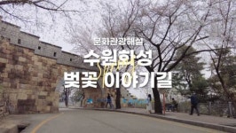 해설사와 벚꽃보며 행궁동 갈까, 팔달산 갈까…수원문화재단 프로그램 운영