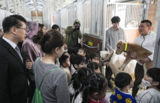 경기도, 말 복지를 위한 휴양목장 개소 [포토뉴스]