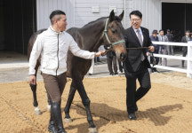 경기도, 말 복지를 위한 휴양목장 개소 [포토뉴스]