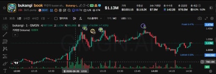 ‘부캉이’ 코인까지 나왔다…시총 17억, ‘98% 폭락’ 늑구 전철 밟나