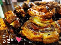 철든돼지