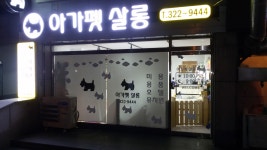 아가펫살롱