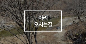 오시는길안내-[인제]아리캠핑장