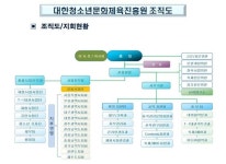 소개글-대한청소년문화체육진흥원