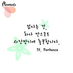 돈보스코 청년회-돈보스코 청년회♡원평