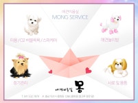 ♥몽♥ - 서비스-애견미용실 몽