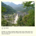 주변정보-숲속의작은이야기