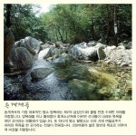 주변정보-숲속의작은이야기