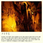 주변정보-숲속의작은이야기