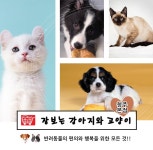 소개(인사말)-장보는 강아지와고양이